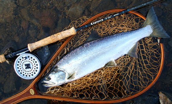 cp939fish