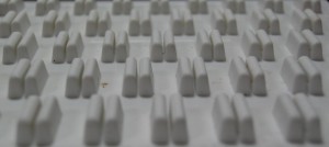 dscn2233