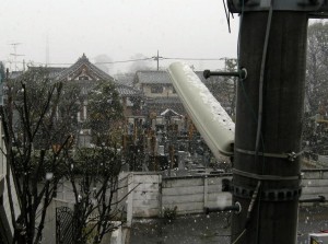 dscn2391