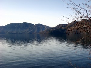 dsc02615a