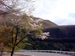 dsc02785