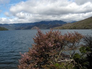 dscn2597a