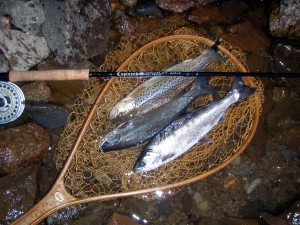 p5250050