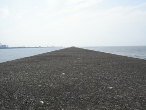 DSCN3172