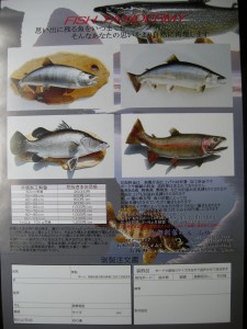 DSCN3174