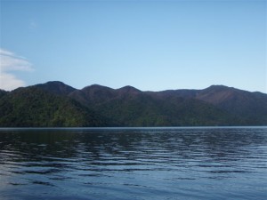 P5250235